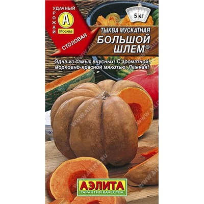 Тыква Большой шлем мускатная (Аэлита) 1г