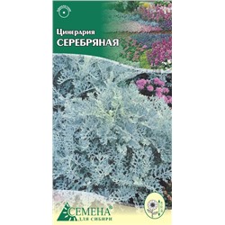 Цинерария Серебряная, 0,08г (цв.)