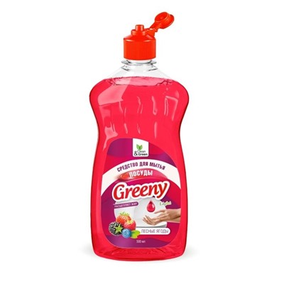 CLEAN&GREEN д/посуды 500мл Лесные ягоды