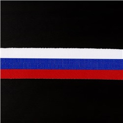 Лента репсовая «Триколор», 24 мм, 30 ± 1 см