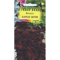 Колеус Бархат ночи (Гавр)