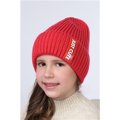 Шапка CLEVER #799307