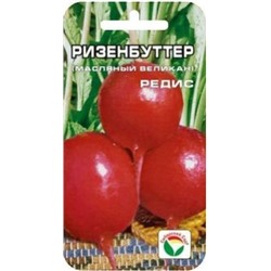 Редис Ризенбуттер (Сиб.сад) 2гр