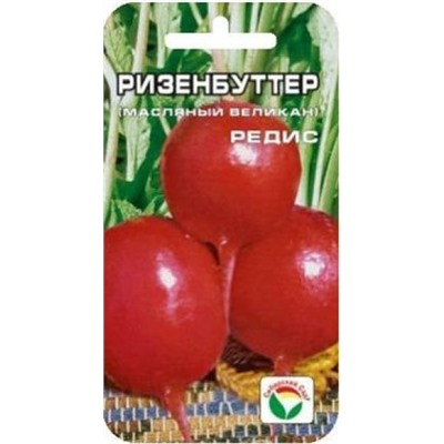 Редис Ризенбуттер (Сиб.сад) 2гр
