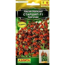 Цв.Лобелия Старшип F1  бургунди (Аэлита) 5шт