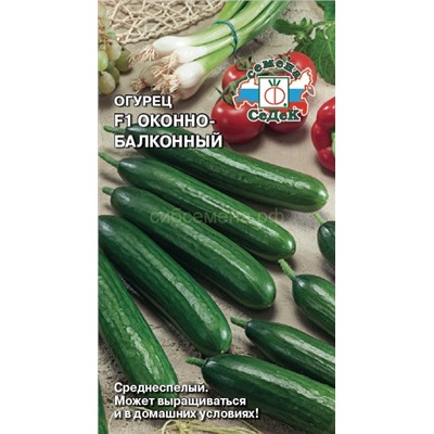 Огурец Оконно-балконный F1 (Седек)