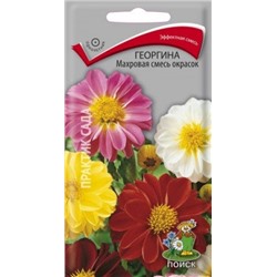 Цв.Георгина Махровая смесь окрасок (Поиск) 0,3г