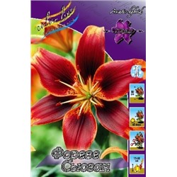 Лилии Фореве Сьюзан 1шт (ИС) азиат МОДУЛЬ
