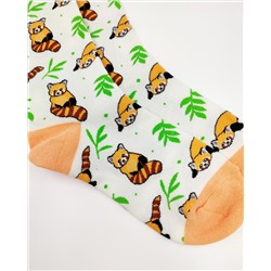 Носки р.35-40 "Cute Animals" Енот