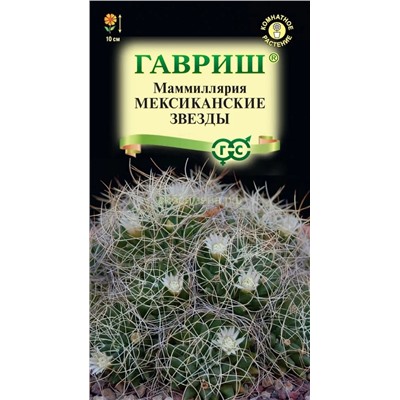 Кактус Маммиллярия Камптотриха Мексиканские звезды (Гавр)