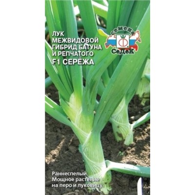 Лук Батун Сережа F1 (Седек) 0,3г