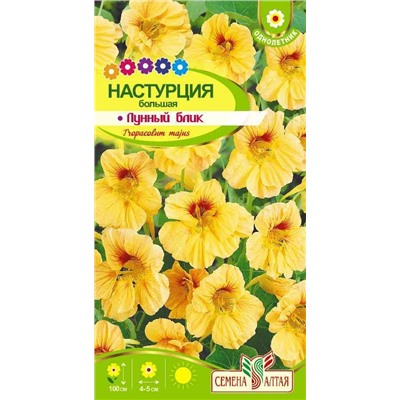 Настурция Лунный Блик (Алтай)