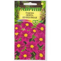Георгина Лента Пурпурная (Код: 14929)