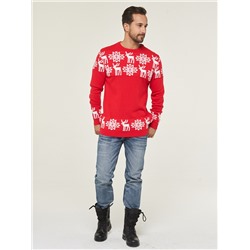 Джемпер мужской 202-12246