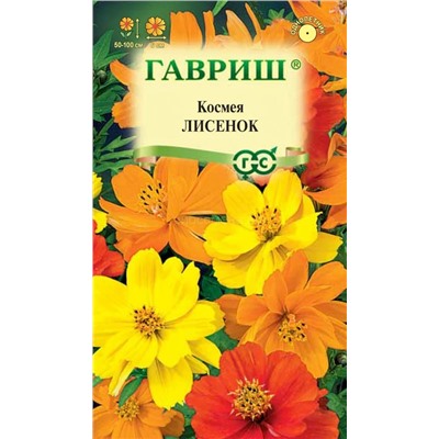 Космея Лисенок (Гавр)