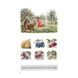 Букварь цветной, увеличенного формата. Редозубов С.П. 1955