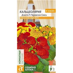 Кальцеолярия Дэинти Черевички смесь (Алтай)