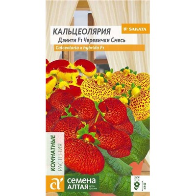Кальцеолярия Дэинти Черевички смесь (Алтай)