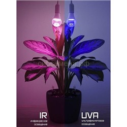 Фитолампа Фарлайт LED-A60-14W два режима UVA IR E27