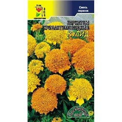 Цв.Барх.Купид смесь (Цв.Сад) 0,2г низ.