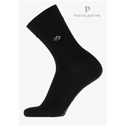 PN-106 (Носки мужские, PanteLemone )