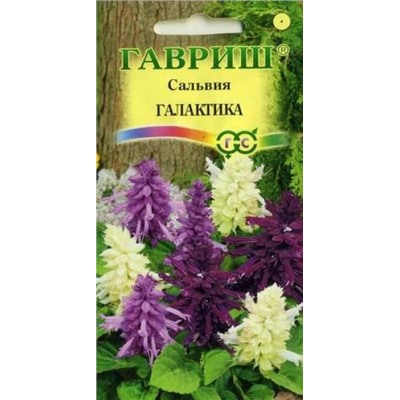 Цв.Сальвия Галактика (Гавриш) 6шт