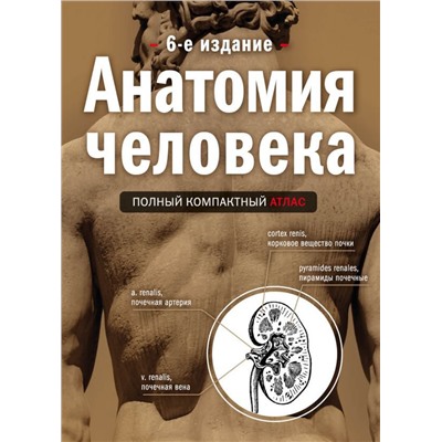 Анатомия человека: полный компактный атлас. 6-е издание