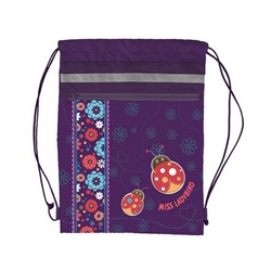 Рюкзак школьный Hatber Compact Plus "Ladybird" (NRk_40644)