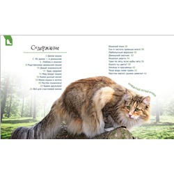 Уценка. Кошки и котята (Первая энциклопедия)