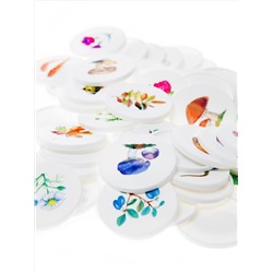 Лото с пластиковыми фишками «Родная природа»