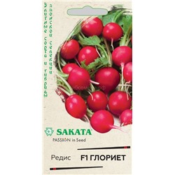 Редис Глориет F1 (Гавр)