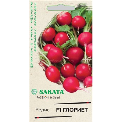 Редис Глориет F1 (Гавр)
