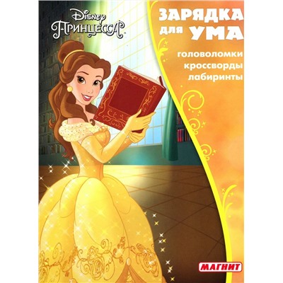 Зарядка для ума N ЗУ 1713 "Принцессы"
