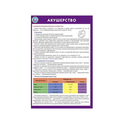 Акушерство