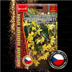 Бегония Копакабана еллоу F1 - Copacabana Yellow боливийская (Редкие)