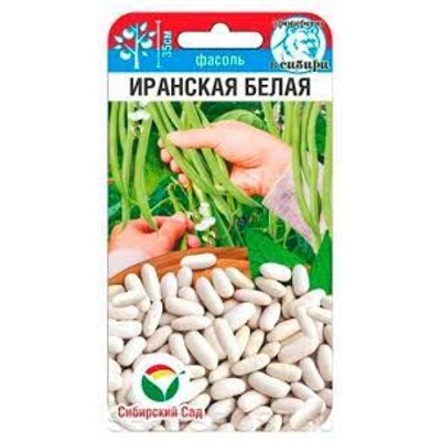 Фасоль Иранская белая (Сиб.сад) 5гр.