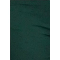 Elisa-6