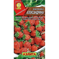 Земляника  Александрина (Аэлита)