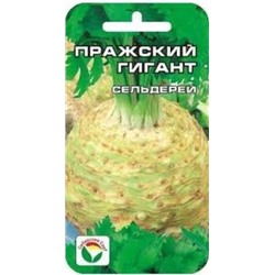 Сельдерей корн.Пражский гигант (Сиб.сад) 0,5г