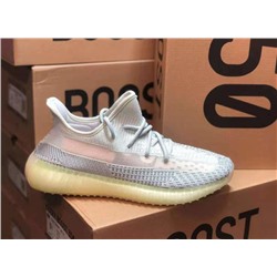 Adidas yeezy boost 350 v2