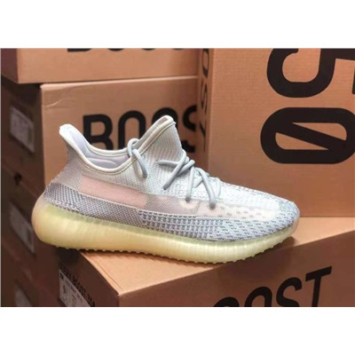 Adidas yeezy boost 350 v2