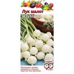Лук  шалот Изумруд (Гавр)