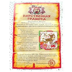 Дарственная Грамота 10 На Красоту и Молодость SH 903050