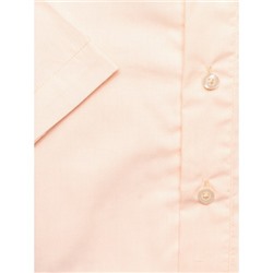 Сорочка дошкольная Imperator Paw-k