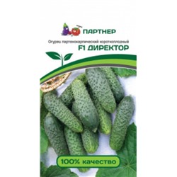 Огурец Директор F1 (Партнер) 5шт
