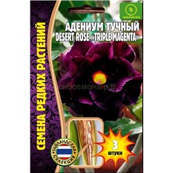 Адениум Трипл Мажента - Deset Rose Triple Magenta (Редкие)