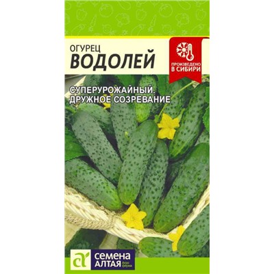 Огурец Водолей Сем.Алтая