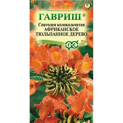 Спатодея Африканское тюльпанное дерево (Гавр)