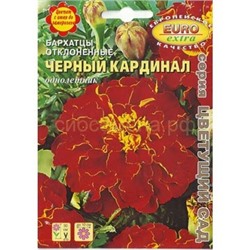 Бархатцы Черный кардинал отклон. (Аэлита)