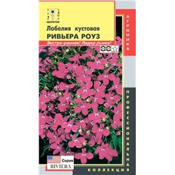Цв.Лобелия Ривьера Роуз кустов. (Плазма) 8шт